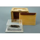 A Schools Library and Museum Service No. 6a Taxidermy Mole, in a perspex display case and wooden