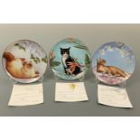 Eight Cats and Flowers collectors' plates by Irene Spencer, (free of damage)