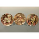 Twelve Border Fine Art fairy collectors' plates including The Snap Dragon Fairy, The Jasmine Fairy