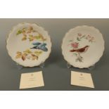 Four Royal Worcester "The Birds of Dorothy Doughty" collectors' plates, boxed, 23 cm, (free of