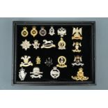 A stacking display case containing military cap badges etc