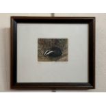 Frances Shearing (b.1953), Small study of a badger nestled within undergrowth, etching, signed