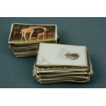 A quantity of un-mounted largely late 19th / early 20th Century postcards etc