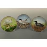 Twelve "Water Bird" collectors' plates including; emperor penguin, flamingo, wood duck, Canada goose
