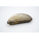 A 19th Century mussel shell pocket snuff box