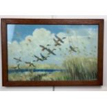 Two period Peter Scott prints, respectively depicting mallard ducks taking to flight and migrating