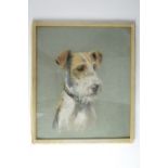 (20th Century) A pastel study of a dog, framed under glass, 35 x 24 cm