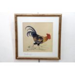 After Mark Hutchinson (Contemporary) A study of a cockerel walking with determination, print, pencil