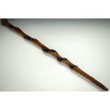 A Victorian walking cane, carved in the form of a serpent entwining the shaft, having a nickel