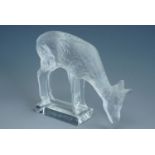 A Lalique frosted and clear glass statuette modelled in the form of a deer, 17 cm, free from damage