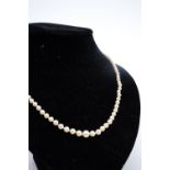 A single strand necklace of graded pearls, largest 7 mm, 49 cm