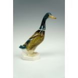 A Beswick mallard (902), 23 cm