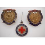 A Great War Prisoner of War Appeal lapel pin together with two National Association of Discharged