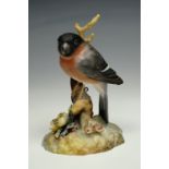 A Royal Crown Derby bullfinch, 13 cm