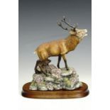 Border Fine Arts figurine 'Red Stag', 20 cm