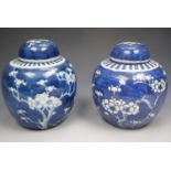 A pair of Chinese ginger jars, blue ground with prunus blossom decoration, 14 cm high