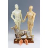 Two soft vinyl male acupuncture models together with a mounted K-9 acupuncture model, a quantity