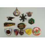 Sundry vintage lapel badges including a 1958 Rose Hip Collectors' Club button badge and a British