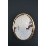 An Italian 14 K yellow metal mounted shell cameo pendant / brooch, 33 mm x 25 mm