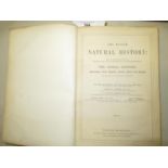 Two volumes, ' The Museum of Natural History ' by Sir John Richardson, published Glasgow and London,