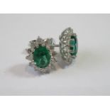 Pair of 18ct white gold oval emerald and diamond cluster ear studs, the emeralds approximately 1.