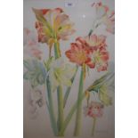 David Easton RI, watercolour, ' Amaryllis ', 25ins x 20ins approximately, gilt framed (Mall