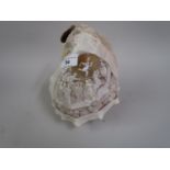 Late 19th / early 20th Century conch shell inscribed ' L' Avrora ', carved with classical figures,