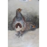 J. Stinton (Royal Worcester artist), oval watercolour study of two game birds, signed, 9.5ins x 7.