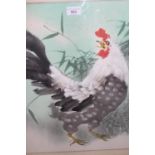 Chinese watercolour, study of a cockerel, bearing character marks, in a modern frame, 19ins square