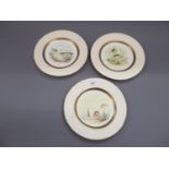 Set of three Coalport cabinet plates, each painted with fish within a gilt and yellow border, signed