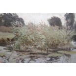 Harold Speed, monogrammed oil on canvas laid on board, river landscape with reed bed, 9.5ins x 13ins