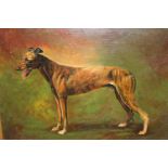 Oil on board, portrait of a greyhound in a landscape, ' Rainham Resolute ', 9ins x 13ins