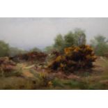 A. Pisa signed oil on canvas board, heathland landscape with yellow gorse, 9.5ins x 13ins