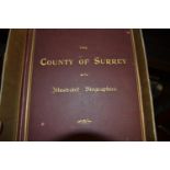 One volume ' Sussex in the Twentieth Century Contemporary Biographies ', well illustrated with