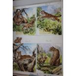 Folder containing a quantity of unframed gouache paintings, various animal studies