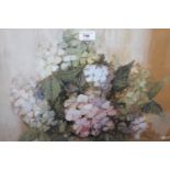 Sylvia H. Pells, watercolour, study of hydrangeas, 12.5ins x 19ins, signed together with a Carole
