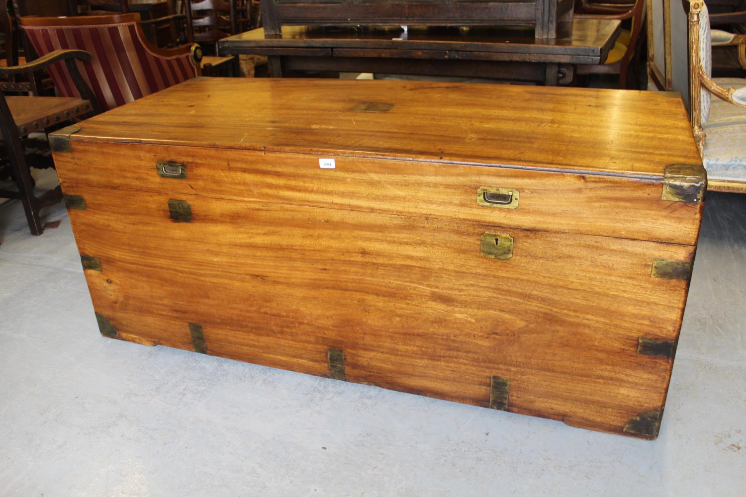 Massive 19th Century camphor wood and brass bound trunk, the hinged lid with twin recessed brass