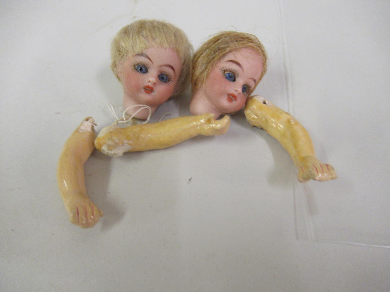 Two miniature bisque dolls heads and various loose limbs