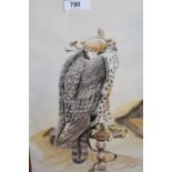 Christopher M. Lee, watercolour, bird of prey, two other watercolours, woodpeckers, another of a