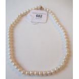Single row of white cultured pearl necklace with a 9ct yellow gold ball clasp