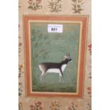 Mogul style mixed media painting, study of a deer in a landscape within a floral border, 14.75ins