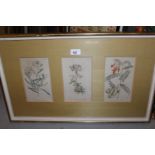 Group of three 19th Century botanical engravings in a single frame together with five small