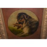 Pair of 19th Century oil on panels, circular images of dogs, gilt framed (image 9.5ins, frames 16ins