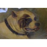19th Century oil on card, portrait of a Bull Mastiff, signed G. Weeks, 1864 (for restoration), 17ins