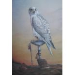 Mary Clare Critchley Salmonson, signed Limited Edition colour print of a bird of prey, No. 739 of