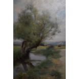 A. Pisa signed oil, landscape with stream and distant cattle, 13ins x 9ins
