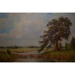 20th Century oil on canvas, river landscape, signed indistinctly, 19ins x 23ins, housed in a