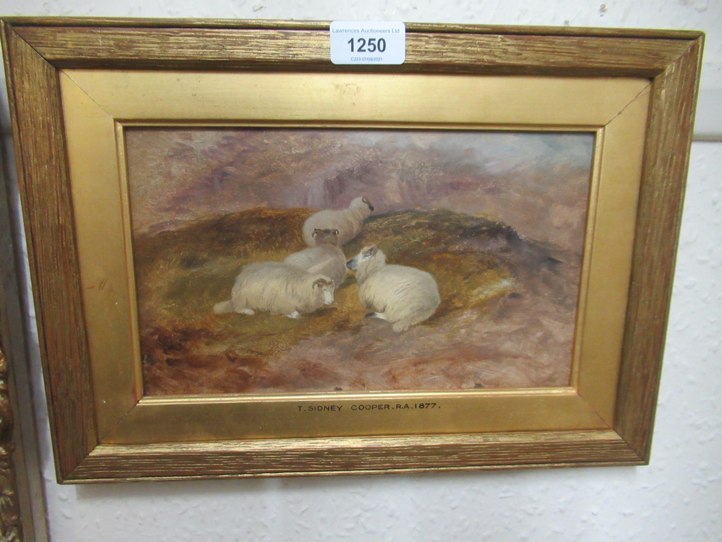 19th Century oil sketch on millboard, sheep on a hillside, inscribed on frame ' T. Sidney