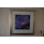 Nel Whatmore, artist signed Limited Edition coloured print, ' Hiawatha ', 22.5ins x 23ins, framed