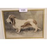 Ink and watercolour portrait of a dog, inscribed ' Colbron Pearse 1906 ', 5.5ins x 7.5ins